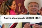 Apoyo al campo de $3000: quién lo recibe, pasos de inscripción y fecha de entrega